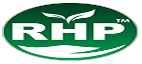 Client 02